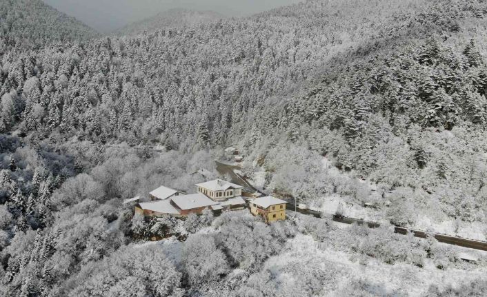 Doğa kışa kar örtüsü altında girdi