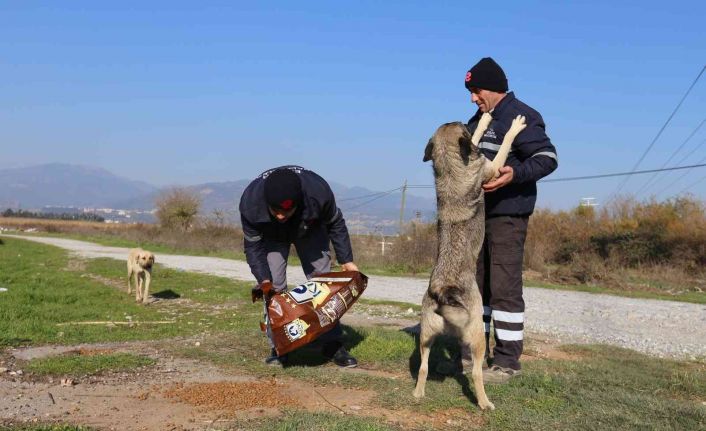 Efeler Belediyesi can dostları unutmuyor