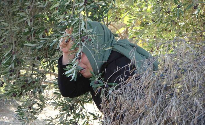 İlaç almak için eczaneye giden kadın, evde anne ve babasının cesedini buldu