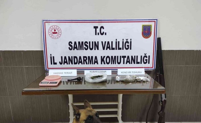 Jandarmadan uyuşturucu operasyonu: 1 gözaltı