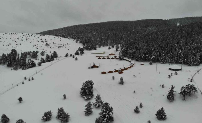 Karla kaplanan ve kartpostallık manzaraya bürünen Dumanlı Tabiat Parkı, havadan görüntülendi