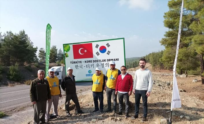 Kilis’te Türkiye-Kore Dostluk Ormanı’nda 20 bin fidan toprakla buluştu