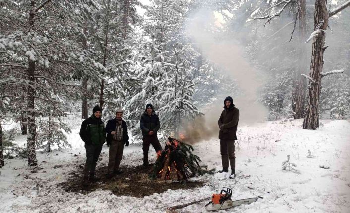 Kütahya’nın bin 826 rakımlı Türkmen Dağı beyaz gelinliğini giydi