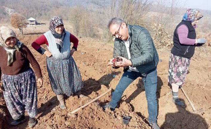 Mavi yemişe 145 bin liralık hibe