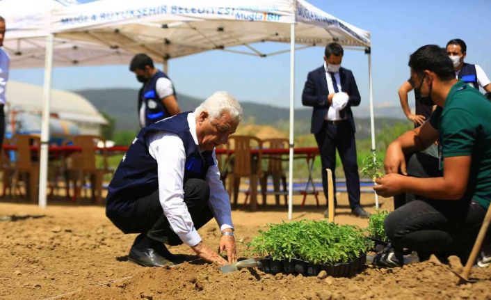 Muğla’da 39 il ve 2 ülkenin toprak, bitki ve su analizi yapıldı