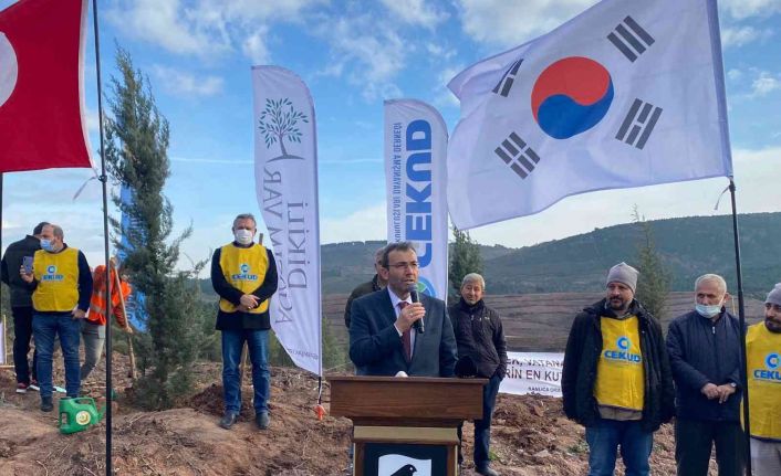 Orman yangınında Güney Koreli vatandaşların bağışladığı fidanlar, Pendik’te hayat buldu