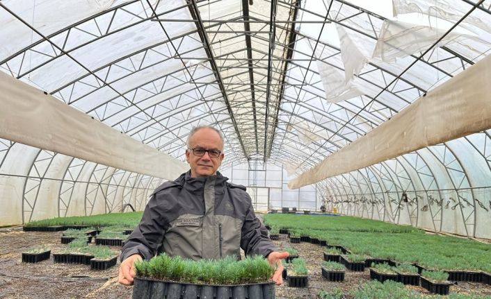 (ÖZEL) Türkiye’nin en büyük orman fidanlığından yavru vatana 50 bin fidan