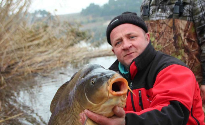 (ÖZEL) Yakalanan 22 kiloluk dev sazan balığı görenleri hayrete düşürdü