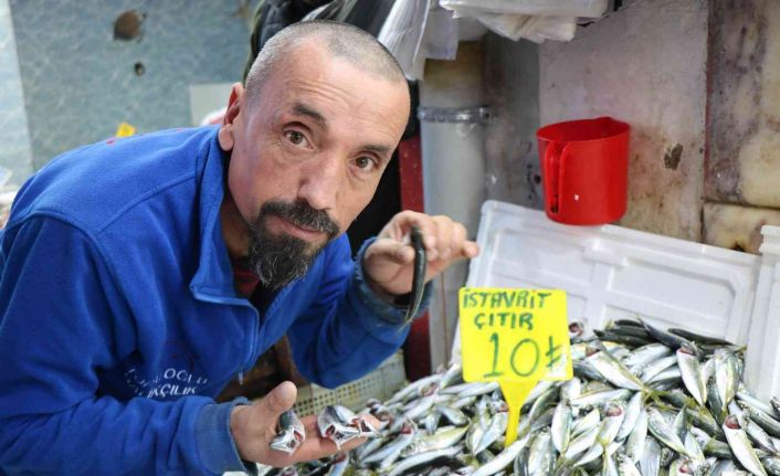 Samsun’da mevsim balıklarının fiyatı 10 TL ile 30 TL arasında değişiyor