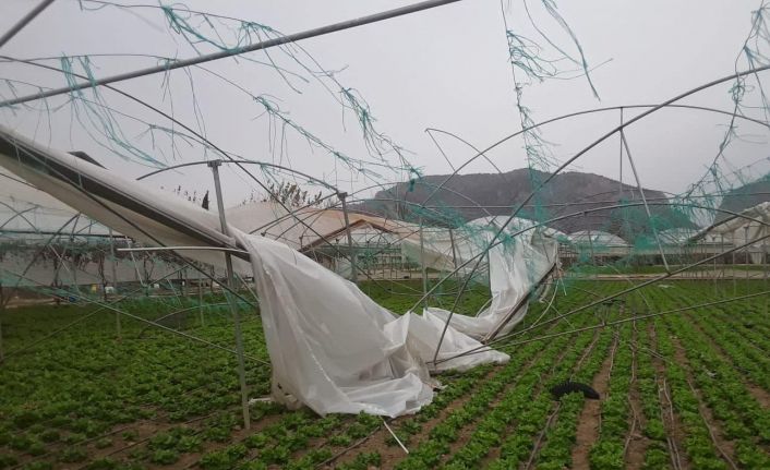 Şiddetli fırtınada seralar adeta yerle bir oldu