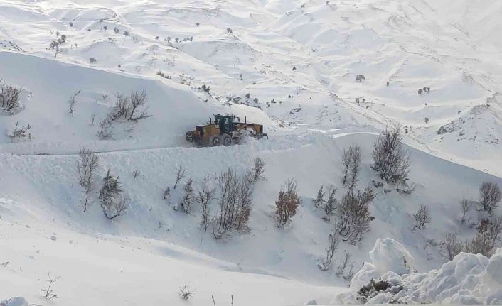 Siirt’te kar ve tipi nedeniyle kapanan 41 köy yolu ulaşıma açıldı