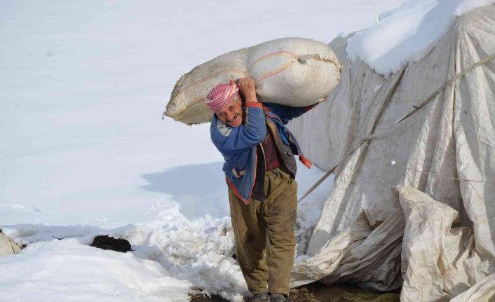 Şırnak’ta 4 yıldır yaylada tek başına eksi 30 derecede yaşıyor