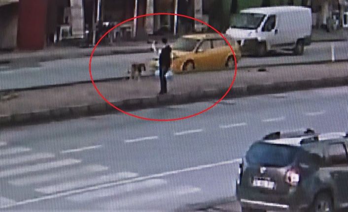 Taksi köpeğe böyle çarptı, o anları gören kadın şoka girdi