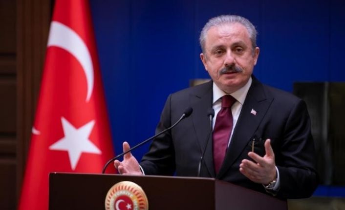 TBMM Başkanı Mustafa Şentop: "Müslüman azınlıkların İnsan Hakları ile ilgili sorunlarını çalışmak üzere bir alt komite oluşturuldu"