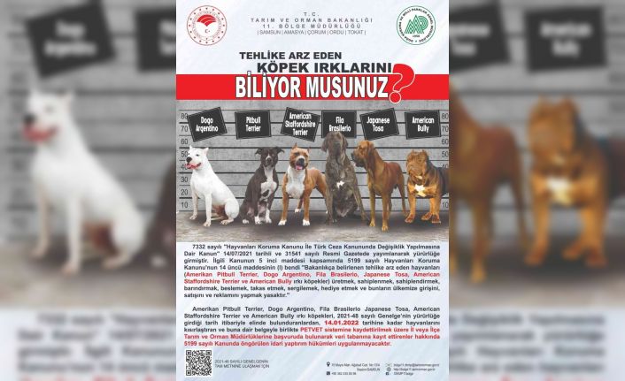 Tehlike arz eden köpek ırklarında kayıtlar için son tarih 14 Ocak