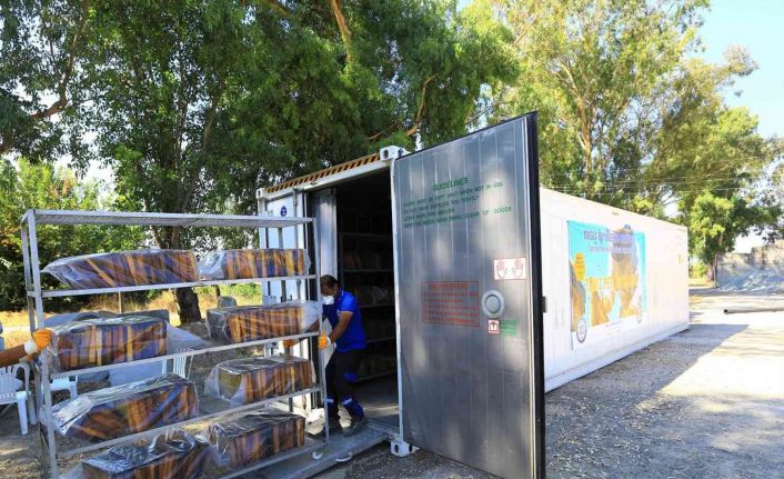 ‘Temiz petek projesi’ arıcıların yüzünü güldürdü