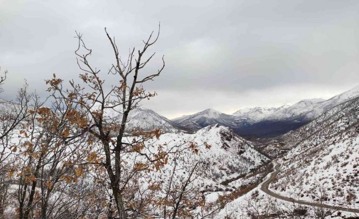 Tunceli’de kapalı bulunan 41 köy yolunun ulaşıma açılma çalışmaları sürüyor