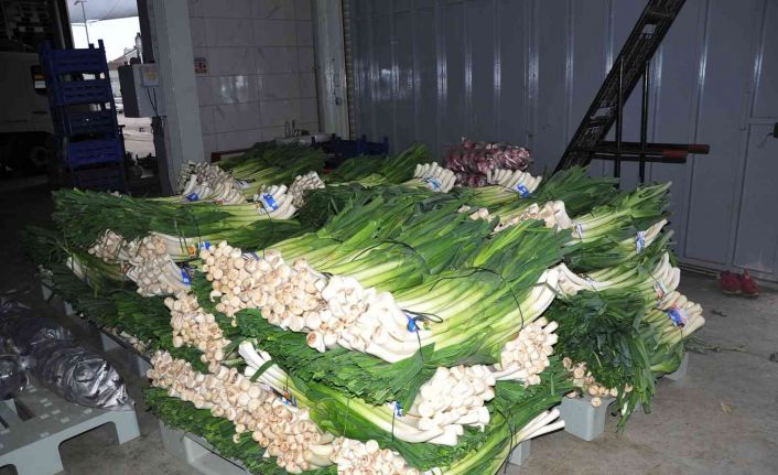 Üretici kışlık sebze fiyatlarından memnun değil