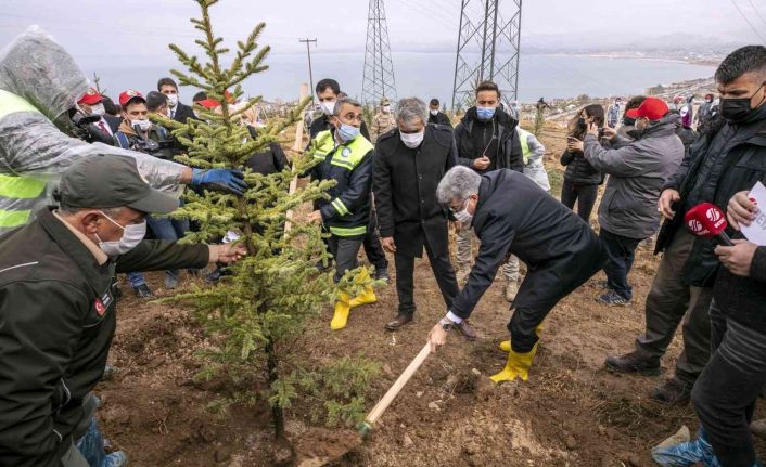 Van Büyükşehir Belediyesi 2021 yılında yeşil bir kent için çalıştı