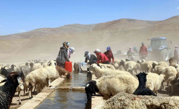 Van Büyükşehir Belediyesi bir yılda kırsal kalkınmaya 40 milyon lira harcadı