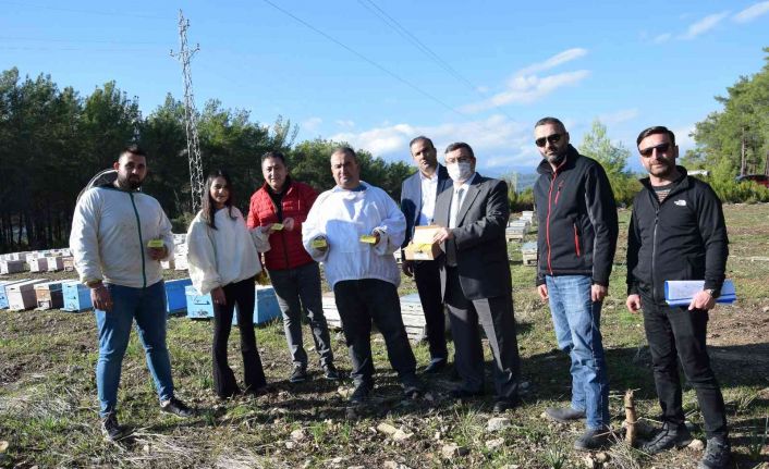 Van’daki selde 200 kovan arısı telef olan arıcının yüzü, bin 500 kilometre uzaklıkta güldü
