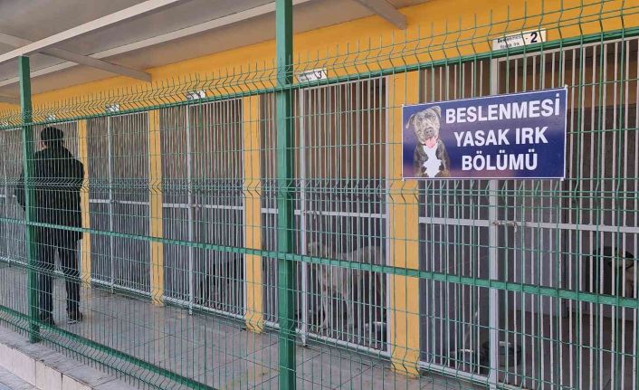 Yasaklı hayvanlar bu merkezdeki özel bölümde rehabilite ediliyor