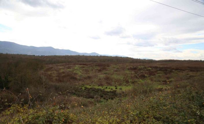 Yeni fuar merkezi için 92 milyon TL’ye yer alındı