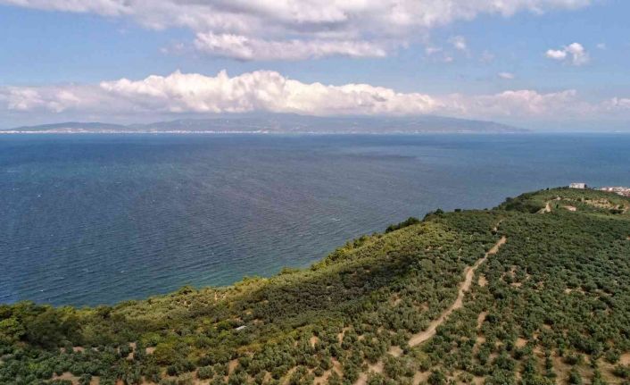 Yeniden temiz bir Marmara için “deniz çalıştayı”