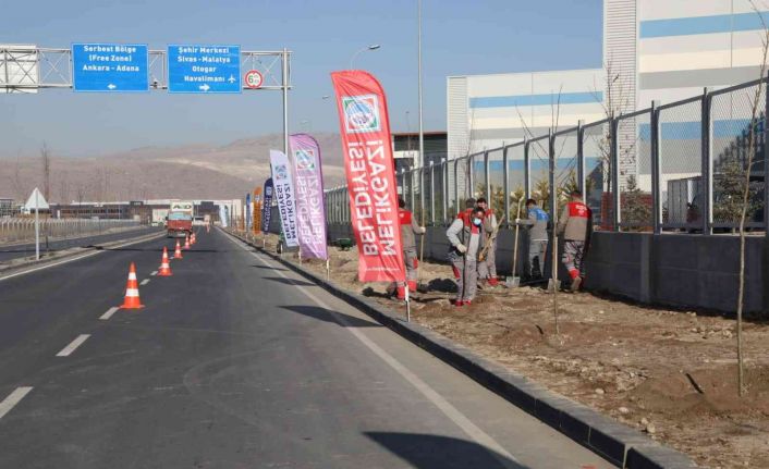 Yenilenen OSB yolunda ağaçlandırma çalışması yapıldı