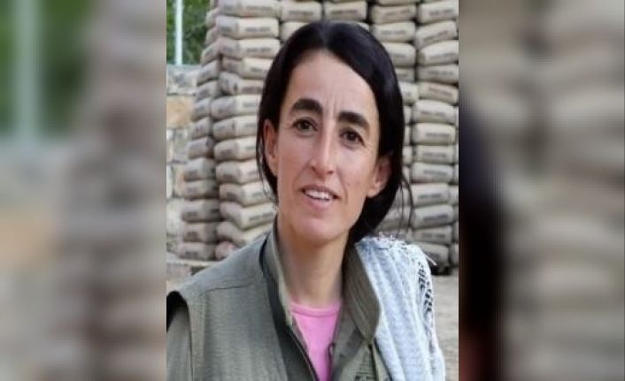 Yeşil kategoride aranan terörist Mardin’de etkisiz hale getirildi