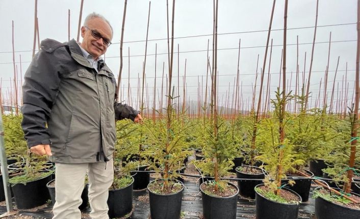 “’Yılbaşını kutlamak istiyorum’ diyorsanız, bunun doğamıza da faydası olsun”