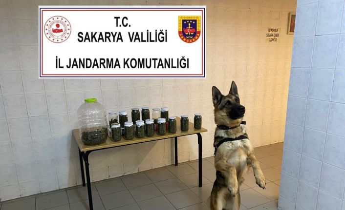 14 kavanoz ve plastik bidon içerisinde toplam 4 kilo esrar ele geçirildi