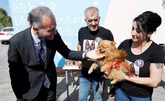 4 bin 476 can dostu İnegöl Belediyesi ile hayata tutundu