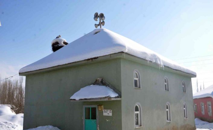 4 yıldır caminin bacasına yaptığı yuvada yaşayan leylek köyün vazgeçilmezi oldu