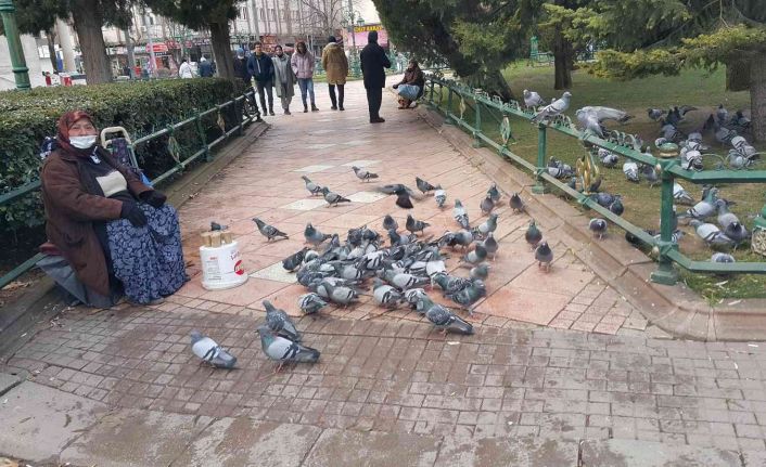 70 yaşındaki engelli kadın hem para kazanıyor hem kuşları besliyor