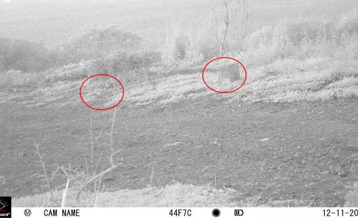 Adalar’da koruma altındaki saka kuşlarını avlayanlara 8 bin 830 TL ceza