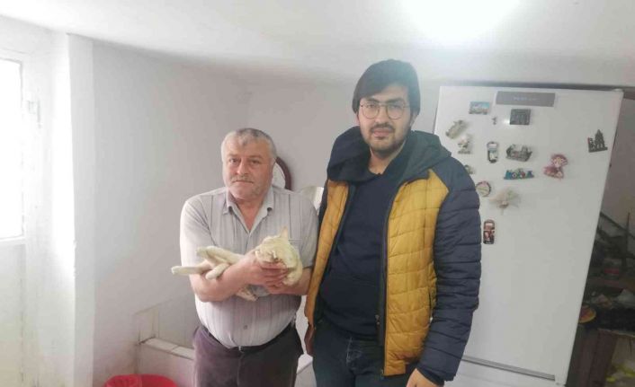 Akşehir Belediyesi sahipli hayvanlar için de kısırlaştırma hizmetine devam ediyor