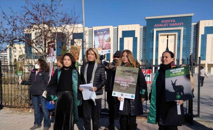 Anadolu yaban koyunu ve yaban keçilerinin akıbeti 15 gün içinde belli olacak