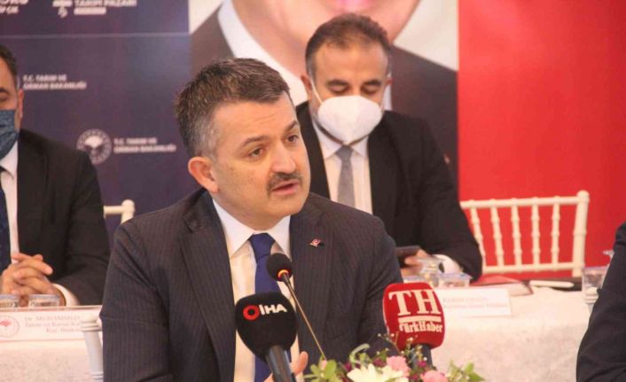 Bakan Pakdemirli: "Son 50 yılda sel, fırtına ve kuraklık afetleri 5 kat daha arttı"