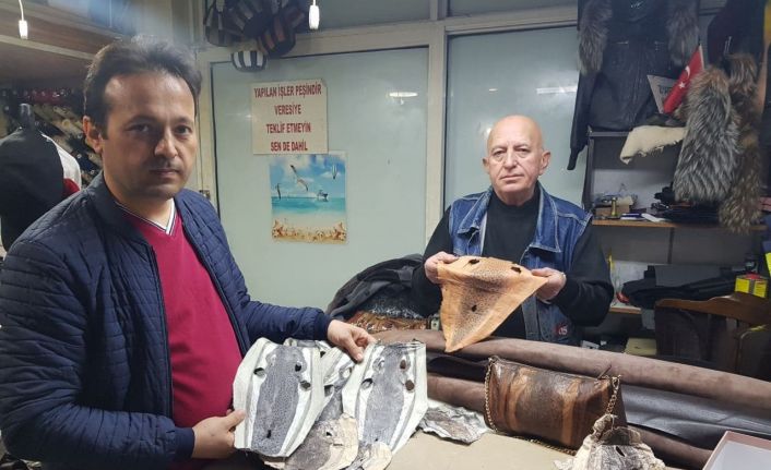 Balon balığı kadın çantası oldu, cüzdan, cep telefonu ve bilgisayar kılıfı yolda