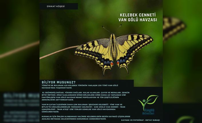 Başkan Özel: “Van Gölü Havzası’nda yaşayan kelebekler güvence altına alınmalıdır”