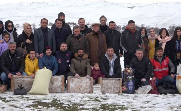 Batman’da bir araya gelen STK’lar sahipsiz hayvanları unutmadı, doğaya yem bıraktı