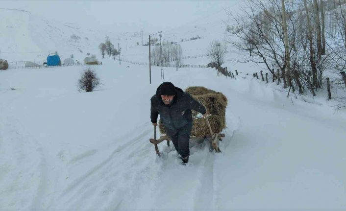Bingöl’de besicilerin çetin kış şartlarına rağmen zorlu mesaisi sürüyor