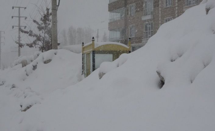 Bitlis’te 147 köy yolu ulaşıma kapandı