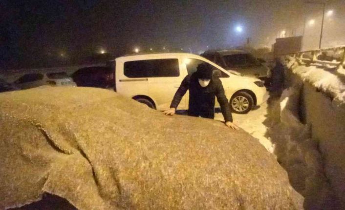 Bitlis’te hayat dondu