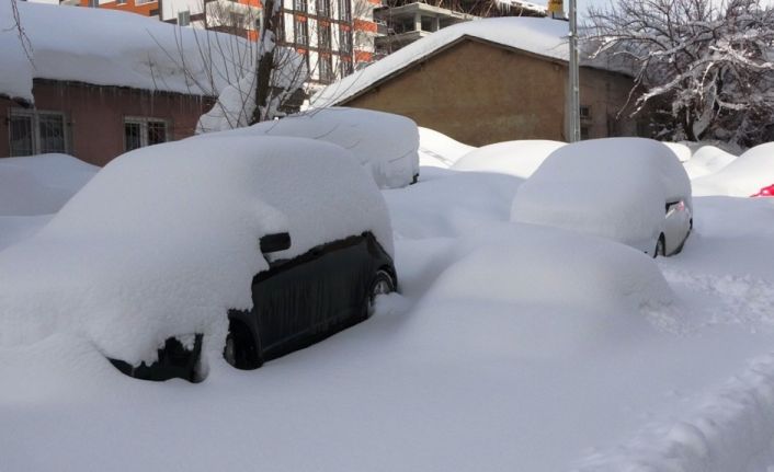 Bitlis’te kapanan 282 köy yolundan 98’i açıldı