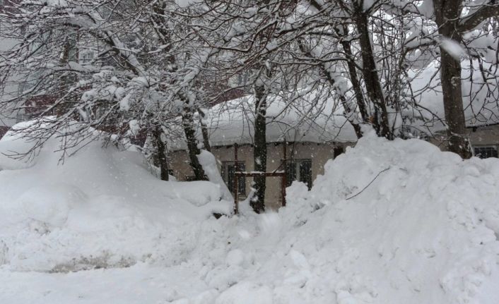 Bitlis’te kar esareti devam ediyor