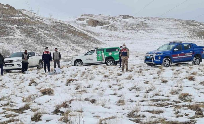 Bitlis’te sokak ve yaban hayvanlar için doğaya yem bırakıldı