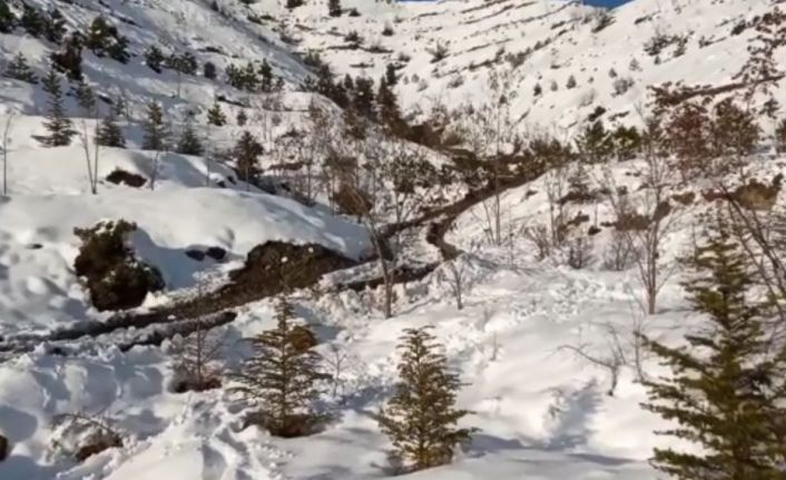 Boğarak öldürdüğü eşini boş araziye gömdü 3 yıl sonra teslim oldu