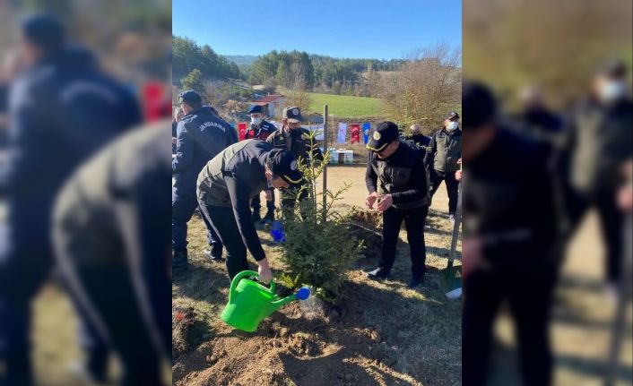 Bolu’da bin fidan toprakla buluşturuldu